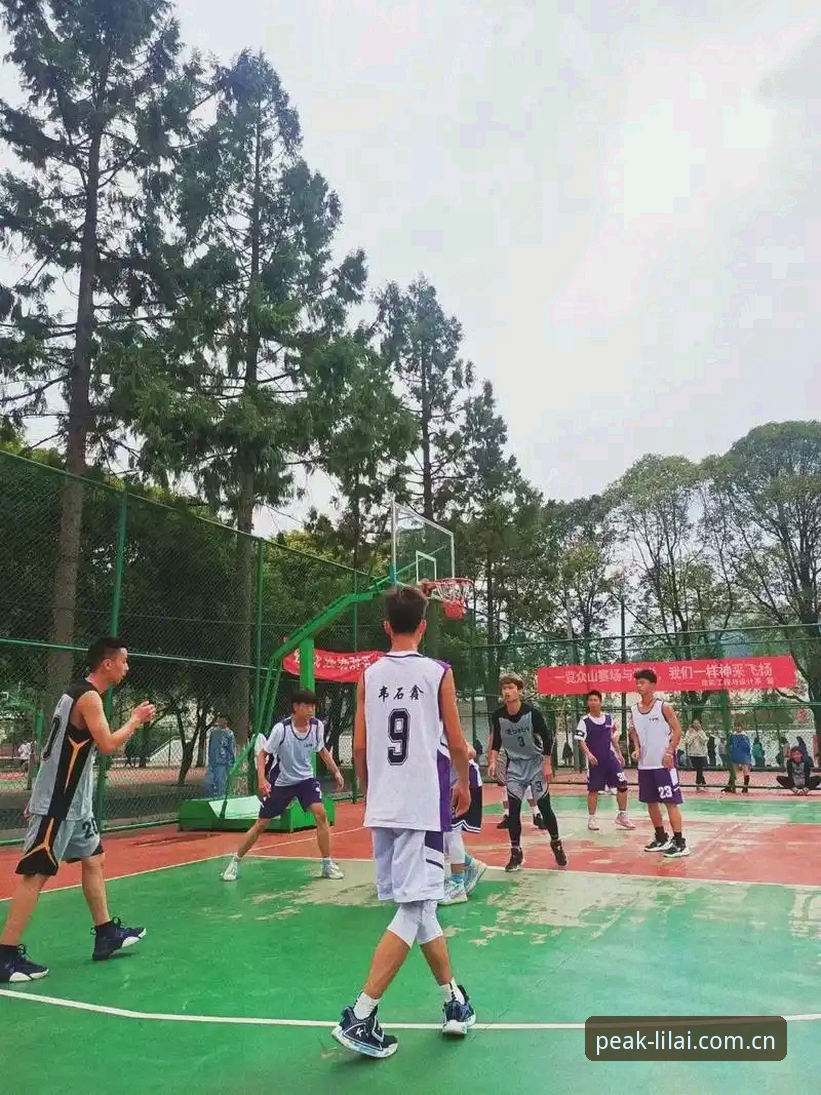 利来体育平台哪个好 利来体育平台最新动态:2025年行业深度评测,哪个平台更适合体育爱好者?